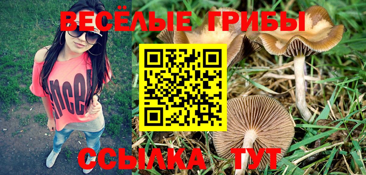 Анжеро-Судженск  Псилоцибиновые грибы прущие грибы  Вход с VPN 