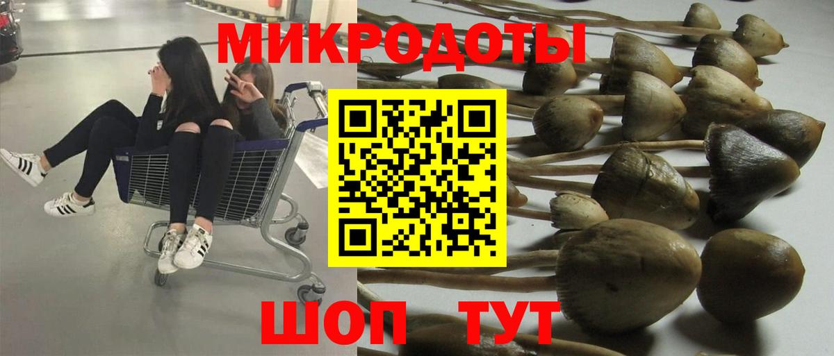 Псилоцибиновые грибы Cubensis Анжеро-Судженск